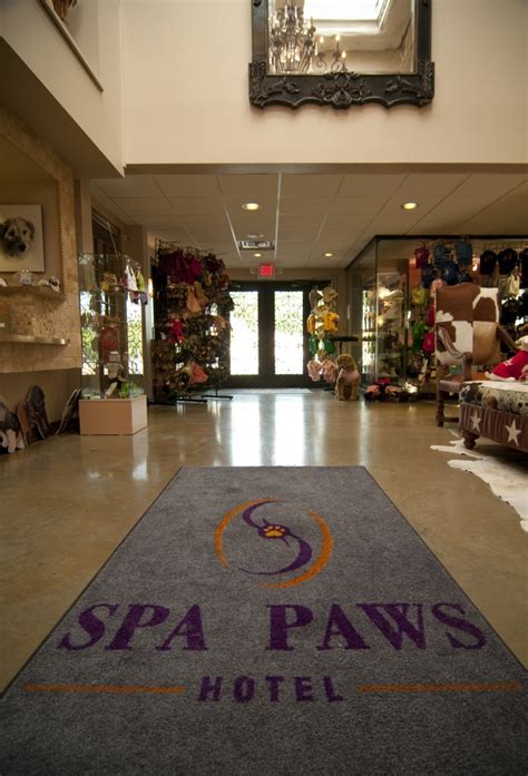 Paws and spas - Paws & Claws Pet Grooming and Spa, LLC. 8 Stephenson Lane Belfast, Maine 04915, United States (207) 338-0303 PandCGrooming@aol.com SECOND LOCATION: Paws & Claws Pet Grooming 231 Northport Ave. Belfast, Maine 04915 (Located inside the Aubuchon Hardware building)